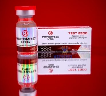 Test E (Testosterone Enathate) 300mg - Performance Labs