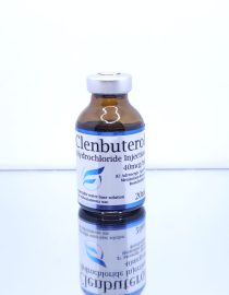 Clenbuterol Inject (Clen) 40mcg - GR Pharma