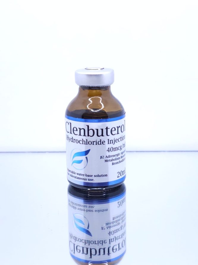 Clenbuterol Inject (Clen) 40mcg - GR Pharma