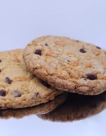 THC Large Chocolate Chip Cookie 240mg