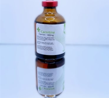 L-Carnitine Injection (Cyanocobalamin) 300mg - Healthy U