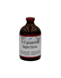 L-Carnitine (L-Carnitine / B12) 250mcg - GR Pharma