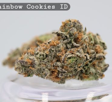 Rainbow Cookies Indoor Strain